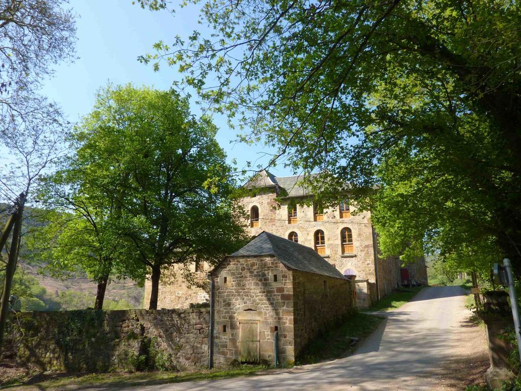 Chateau De Salelles Banassac Exterior foto